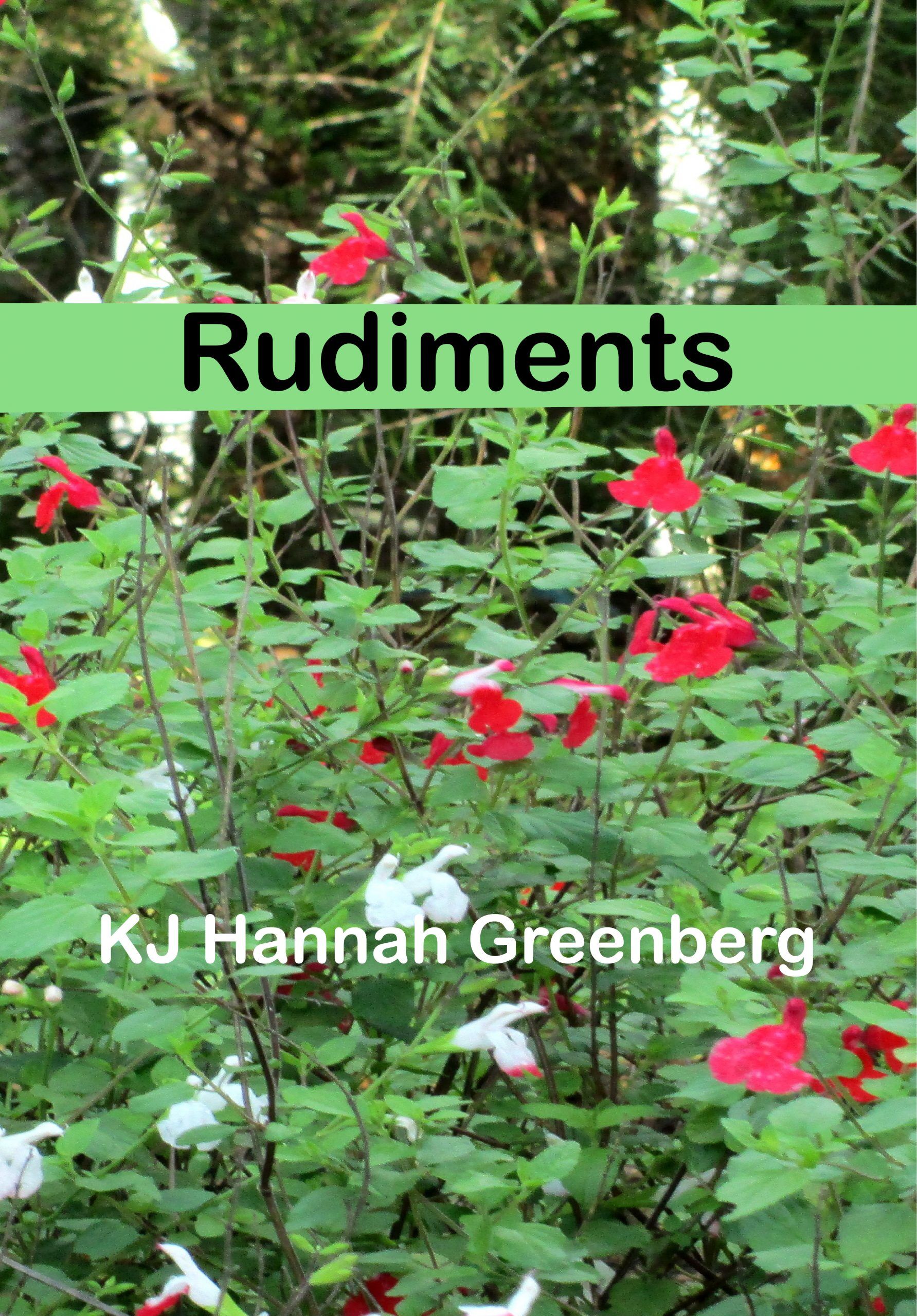 Rudiments